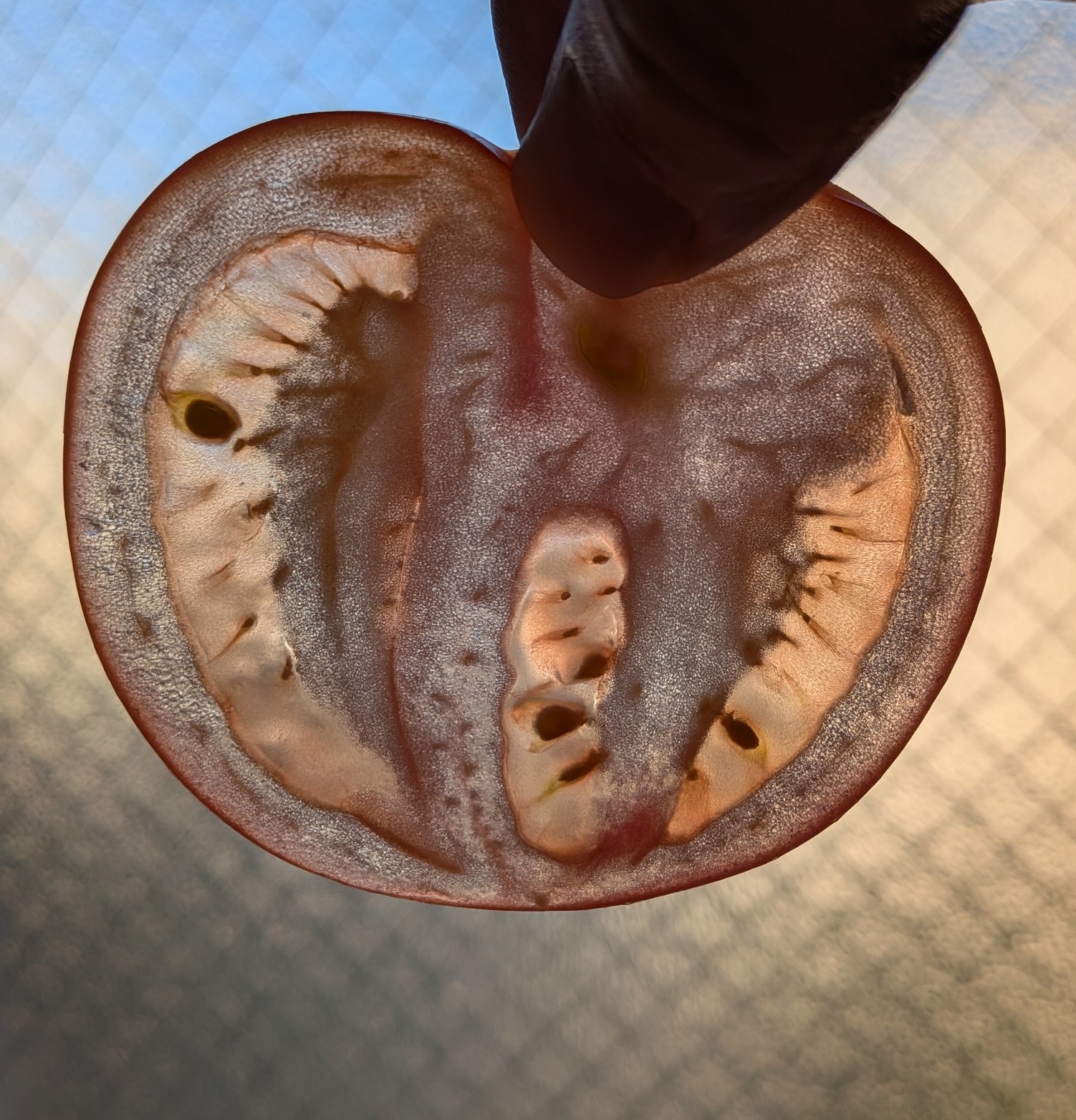 完熟トマトをスパッと切る實光の包丁。断面が美しく、食材が潰れていない手元のアップ