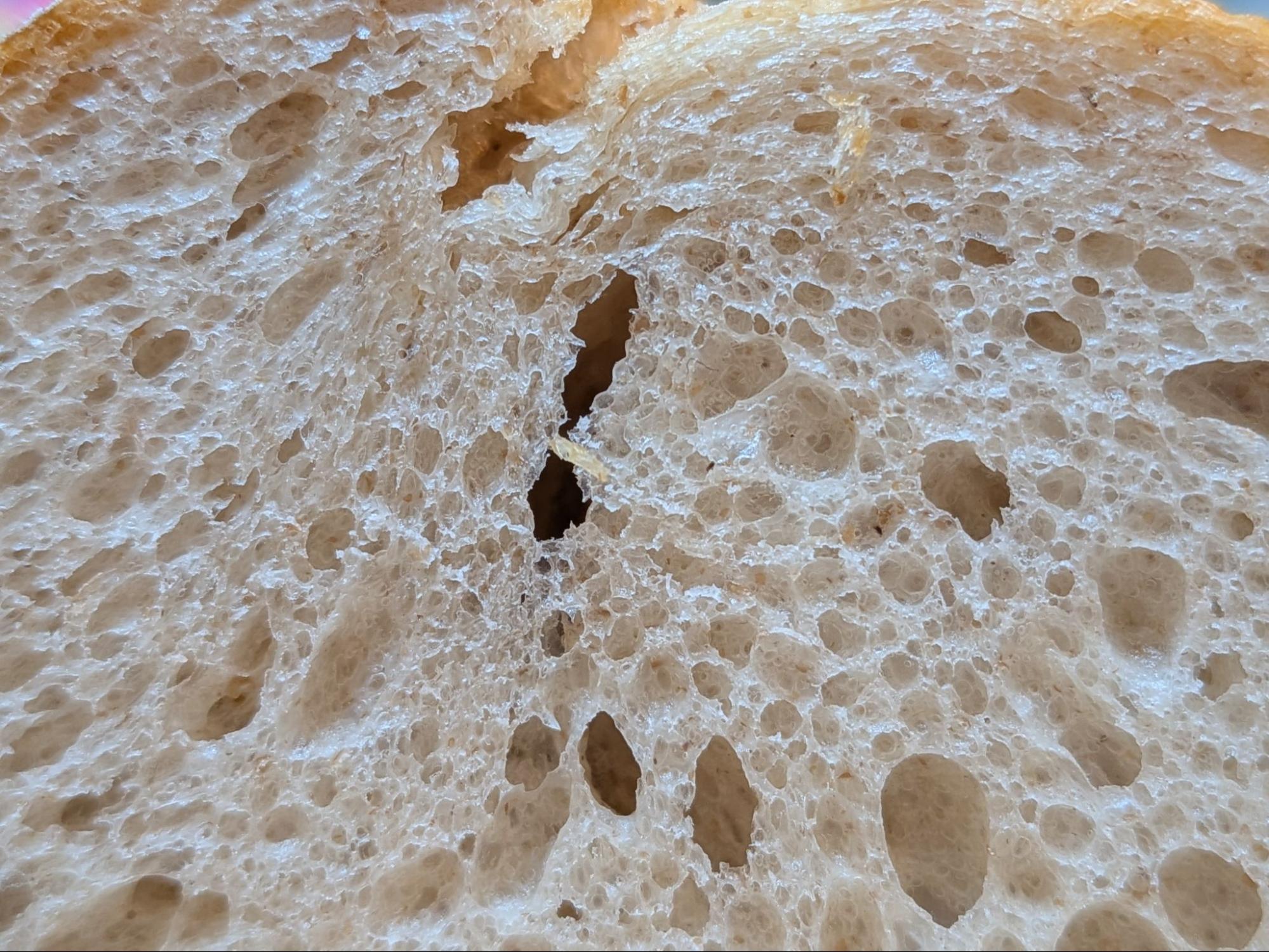 断面の気泡を潰さず、パンくずを出さずに切断されたバゲット