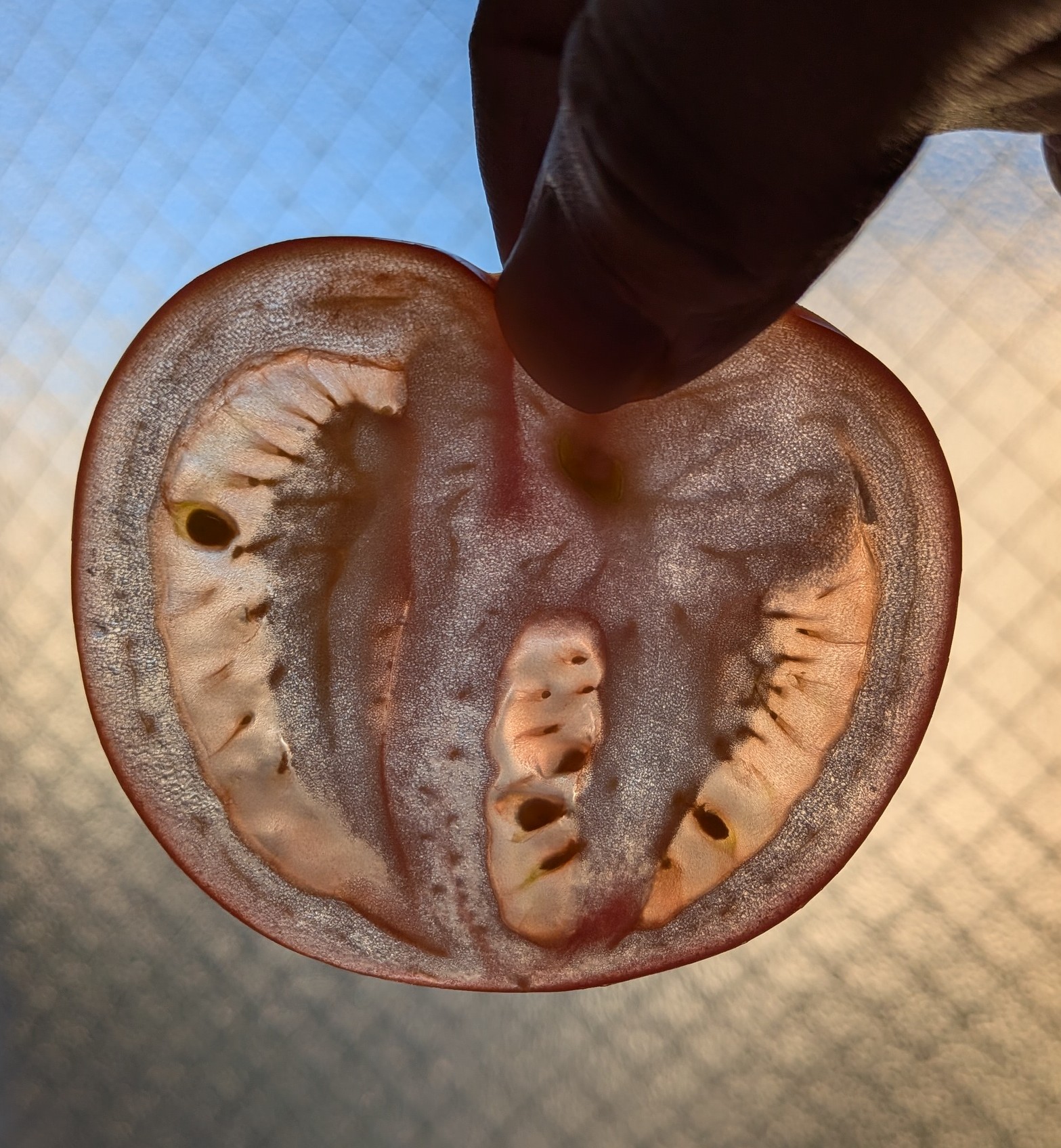  Jikkoの菜切り包丁が、トマトやパプリカを極薄に、かつ瑞々しくスライスする瞬間。