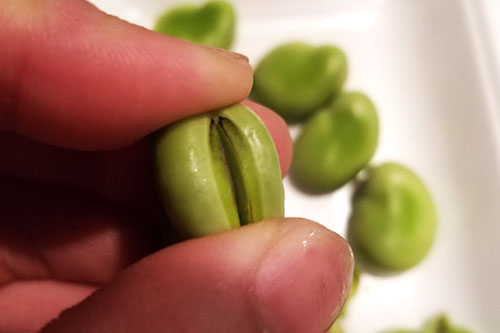 前菜 鯵手まり寿司、一寸豆、出汁巻き、カニ砧巻、海老兎 一寸豆を塩茹でする 前菜 鯵手まり寿司、一寸豆、出汁巻き、カニ砧巻、海老兎 一寸豆を塩茹でする
