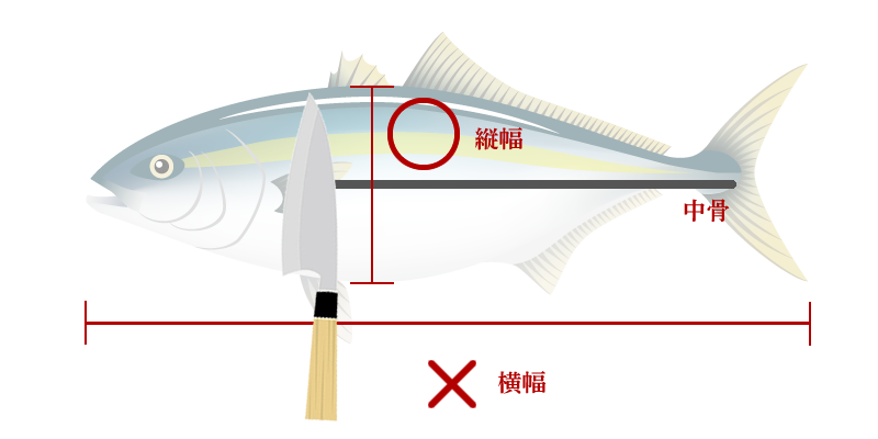 包丁のサイズの測り方 出刃