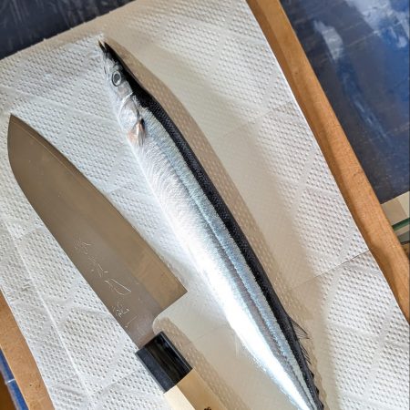 堺實光のハガネ三徳包丁で柔らかい身を崩さず綺麗にさばいた秋刀魚の姿造りと薬味